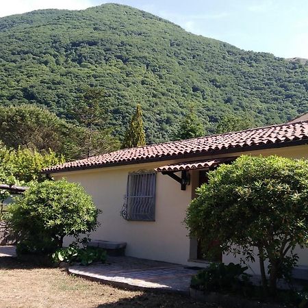 Agriturismo Collevento Trecchina Exterior photo